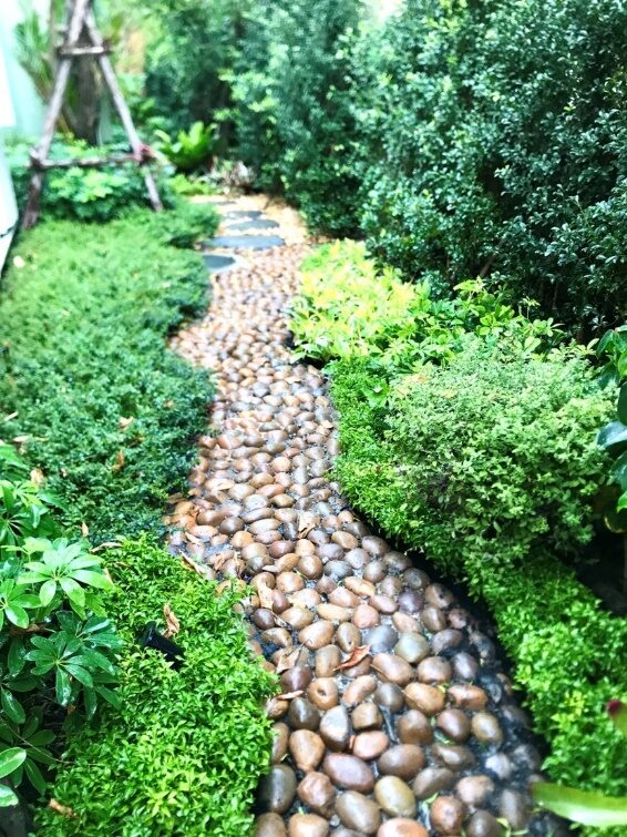Arjunka Landscape Pebble Stream